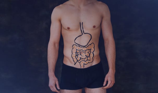 example of prebiotics and probiotics broken down in your body