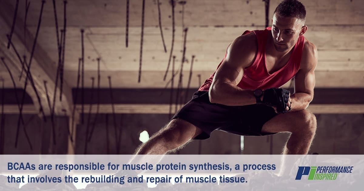 PI Nutrition - BCAA Side Effects - What BCAAs Do