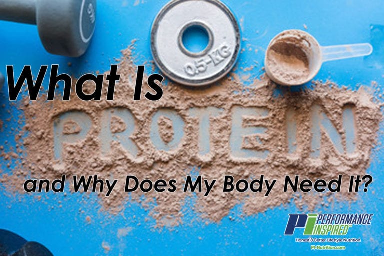 define protein