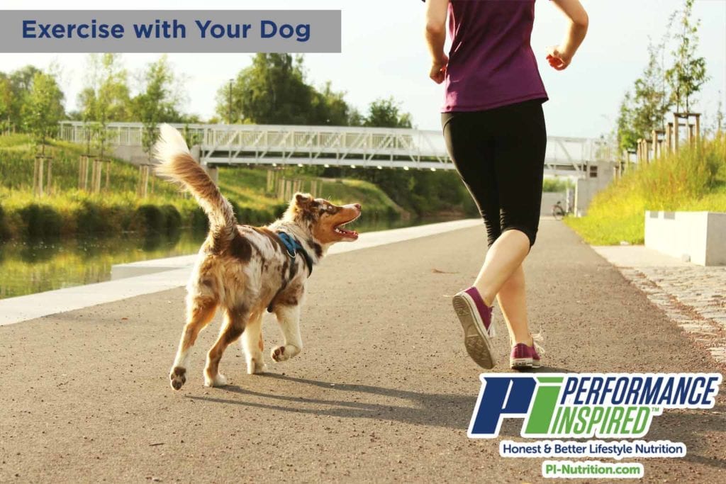 Exercises with Your Dog